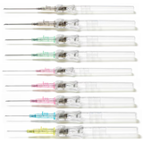 BD Insyte™ Autoguard™ BC Pro Catheter