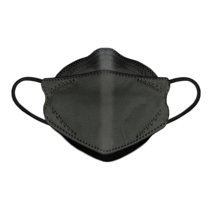Dent-X N95 Respirator Masks (510 & 510S)